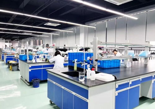 藥界清華 如何引領(lǐng)南京與珠海軟件開(kāi)發(fā)的變革浪潮